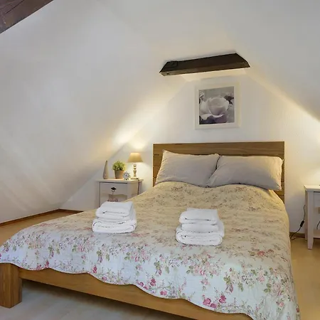 Le Bretzel Apartamento Ribeauvillé